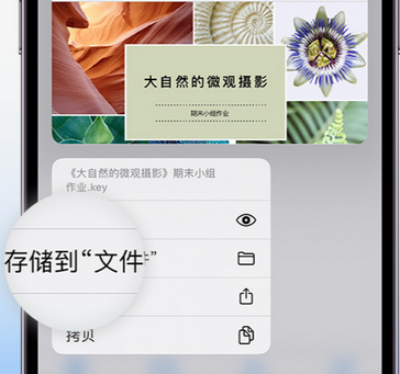 独山子apple维修中心分享iPhone文件应用中存储和找到下载文件