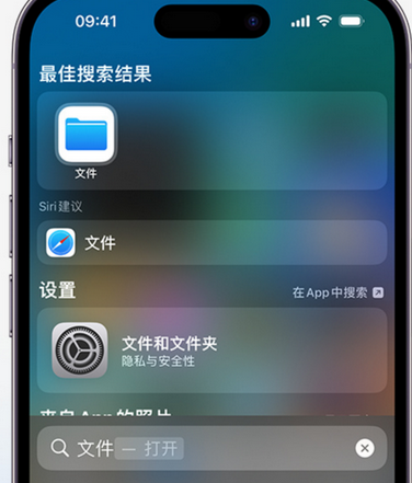 独山子apple维修中心分享iPhone文件应用中存储和找到下载文件 