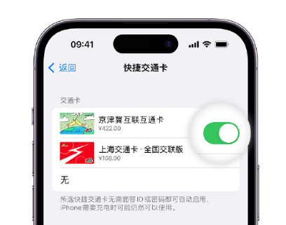 独山子apple维修点分享iPhone上更换Apple Pay快捷交通卡手绘卡面 