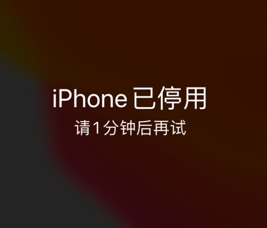 独山子苹果手机维修分享:iPhone 显示“不可用”或“已停用”怎么办？还能保留数据吗？ 