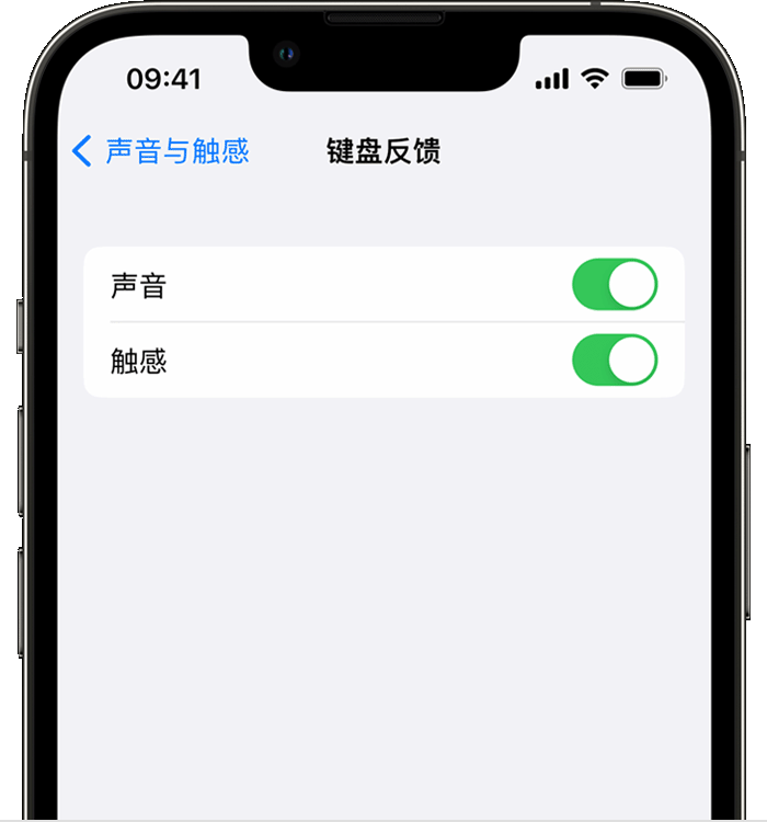 独山子苹果14维修店分享如何在 iPhone 14 机型中使用触感键盘 