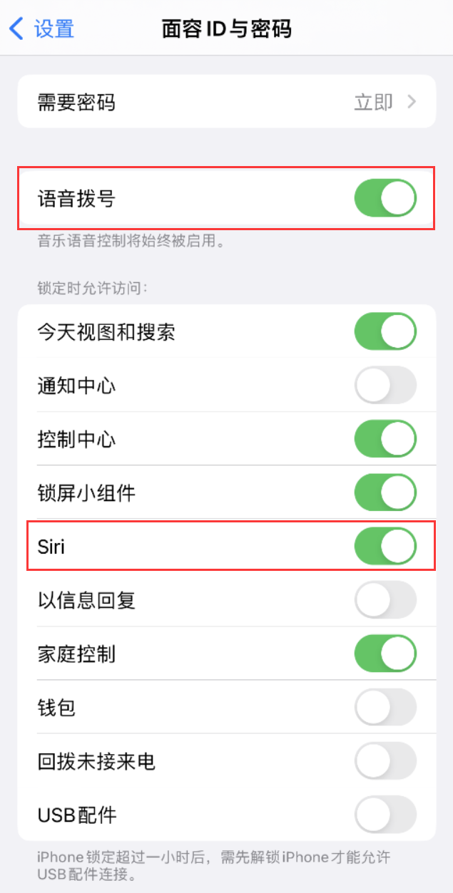 独山子苹果维修网点分享不解锁 iPhone 的情况下通过 Siri 拨打电话的方法 