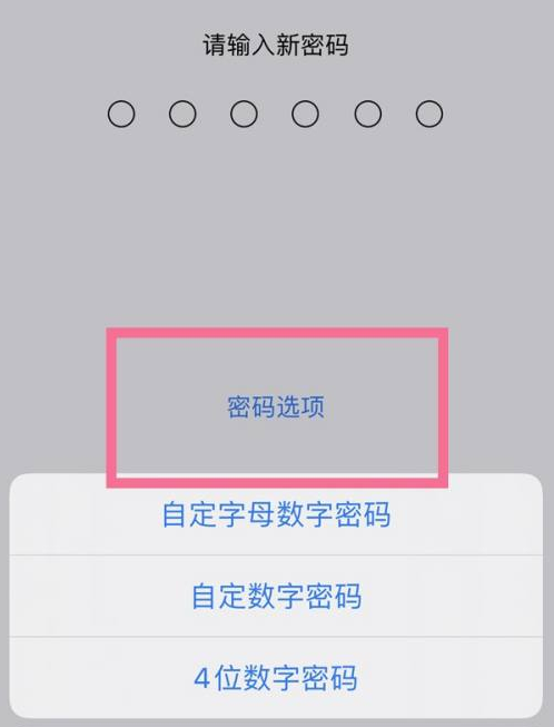 独山子苹果14维修分享iPhone 14plus设置密码的方法 