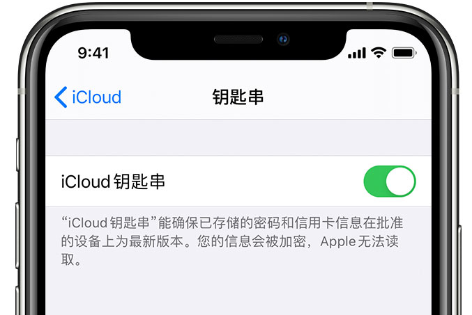 独山子苹果手机维修分享在 iPhone 上开启 iCloud 钥匙串之后会储存哪些信息 