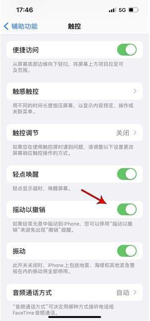 独山子苹果手机维修分享iPhone手机如何设置摇一摇删除文字 